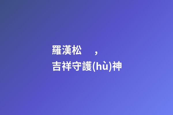 羅漢松，吉祥守護(hù)神